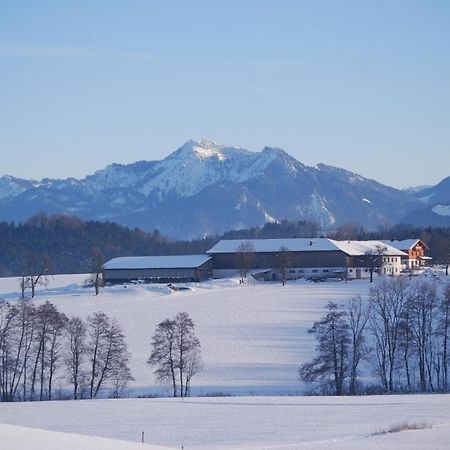 Auf'M Reifnhof Villa Riedering Exterior photo