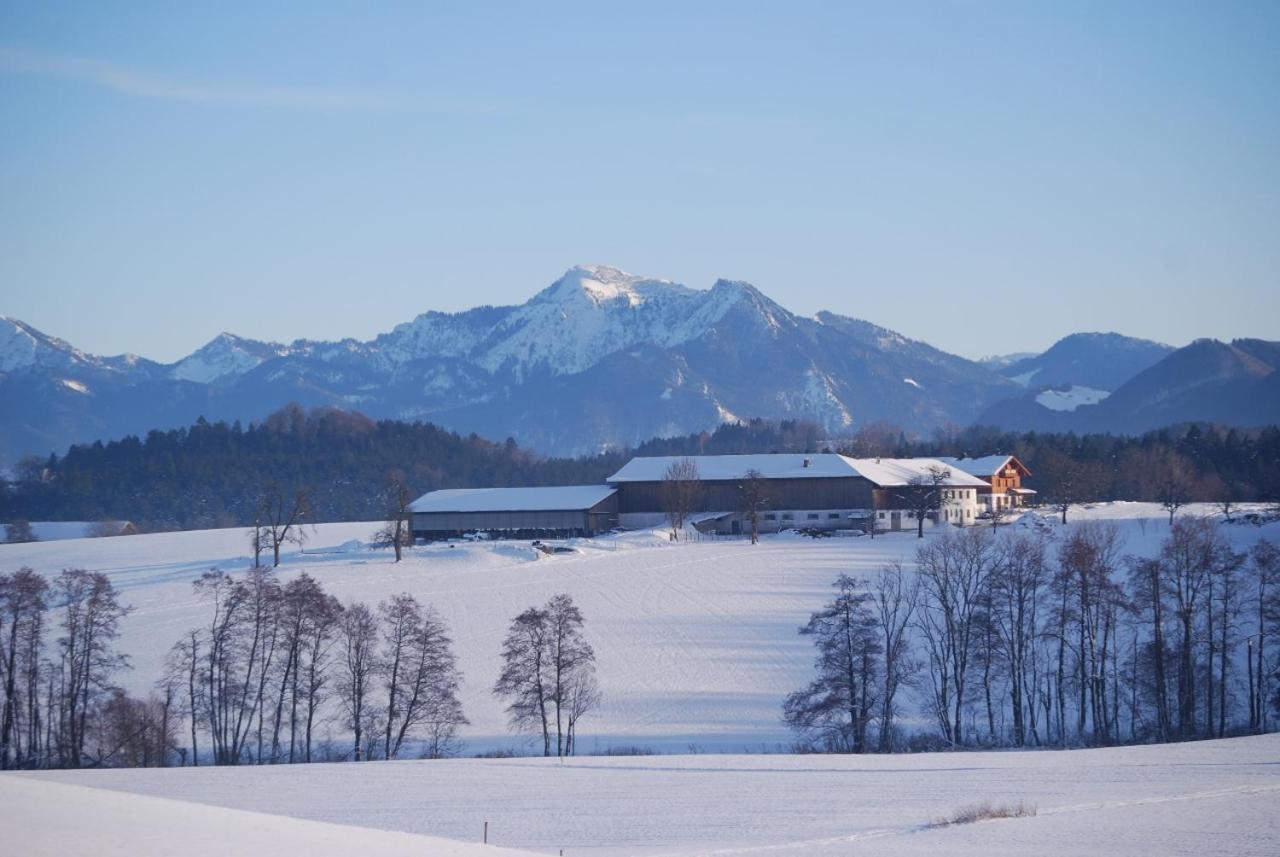 Auf'M Reifnhof Villa Riedering Exterior photo